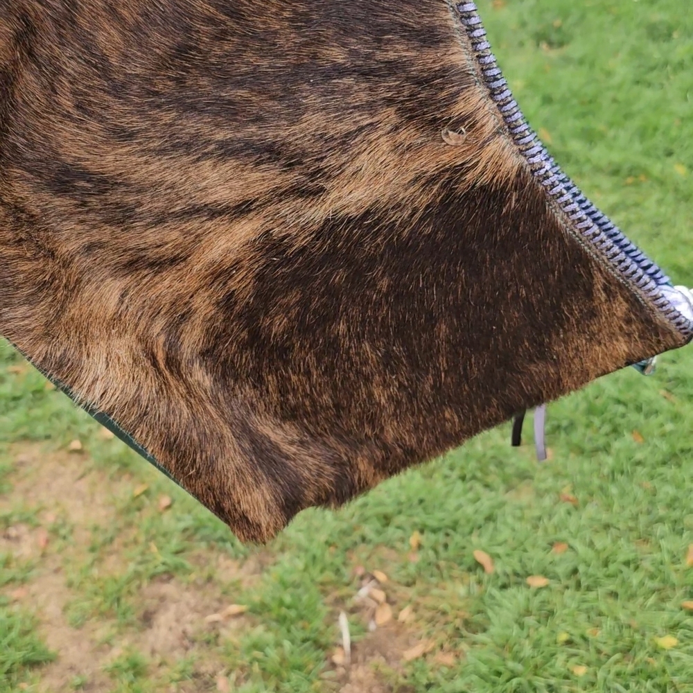Jills Homestead Outrider